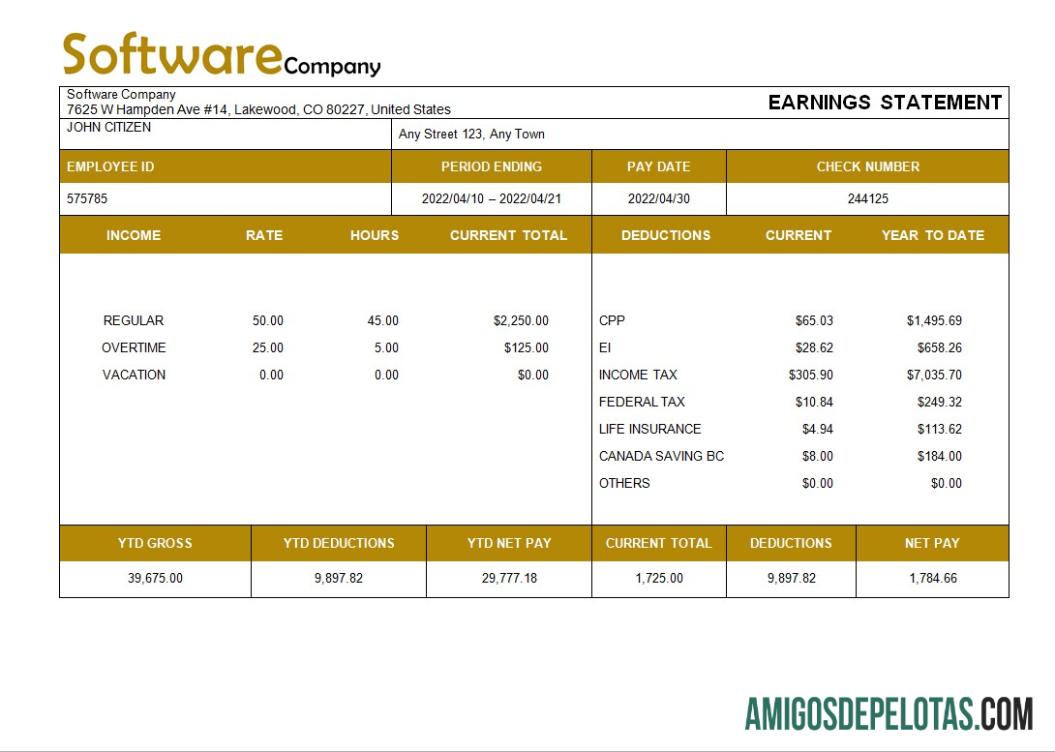 Em branco Modelo de contracheque de empresa de software em formatos Word e PDF